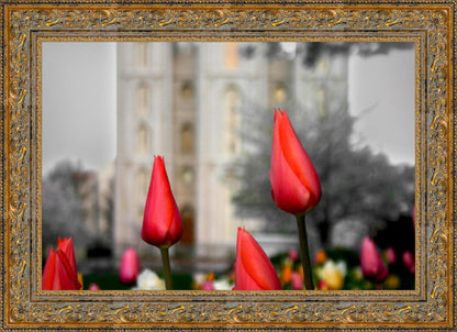 Salt Lake City Temple Beginning Transformation