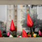 Salt Lake City Temple Beginning Transformation