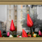 Salt Lake City Temple Beginning Transformation
