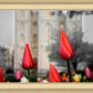 Salt Lake City Temple Beginning Transformation