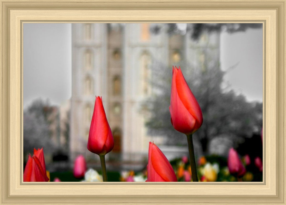 Salt Lake City Temple Beginning Transformation