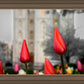 Salt Lake City Temple Beginning Transformation