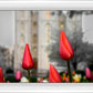Salt Lake City Temple Beginning Transformation