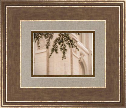 Salt Lake City Temple Even The Smallest Details