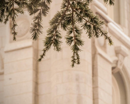 Salt Lake City Temple Even The Smallest Details Gallery Wrap
