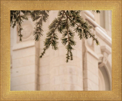 Salt Lake City Temple Even The Smallest Details