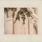 Salt Lake City Temple Even The Smallest Details