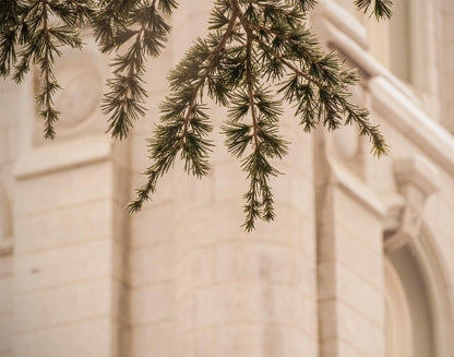 Salt Lake City Temple Even The Smallest Details Gallery Wrap