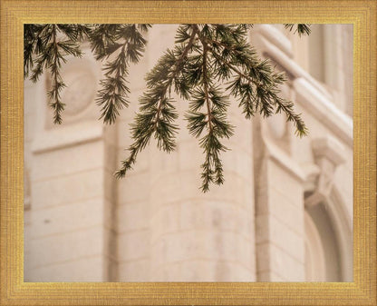 Salt Lake City Temple Even The Smallest Details