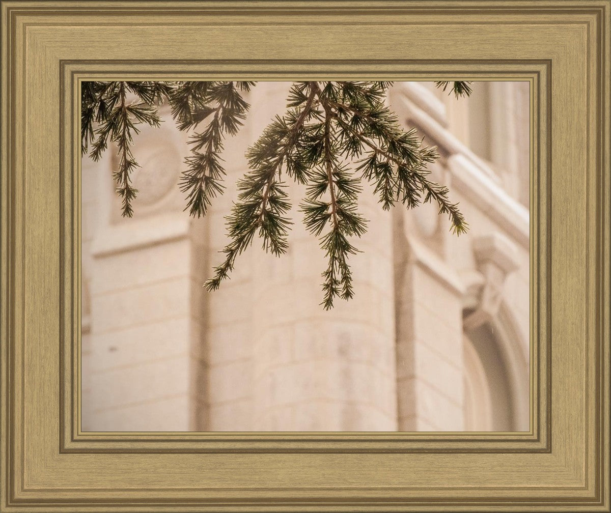 Salt Lake City Temple Even The Smallest Details
