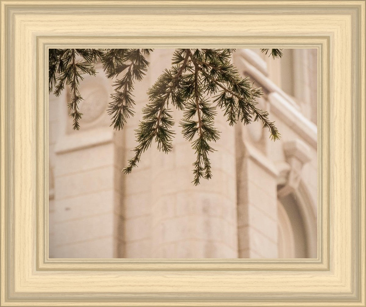 Salt Lake City Temple Even The Smallest Details