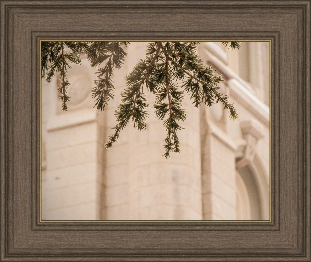 Salt Lake City Temple Even The Smallest Details