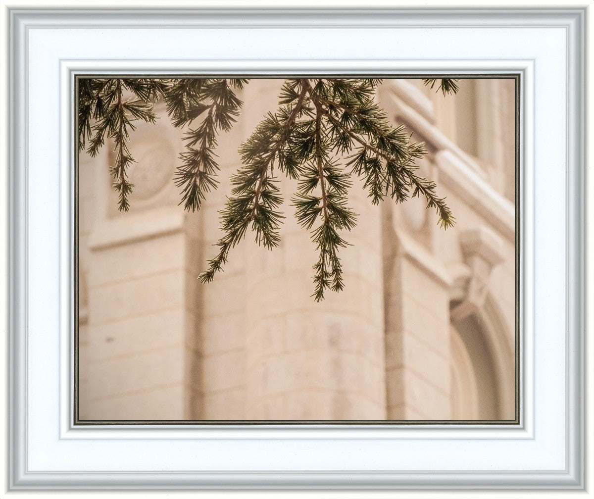 Salt Lake City Temple Even The Smallest Details