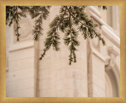 Salt Lake City Temple Even The Smallest Details
