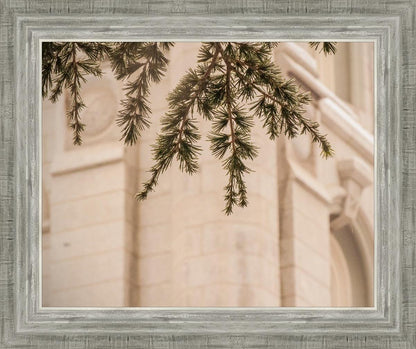 Salt Lake City Temple Even The Smallest Details