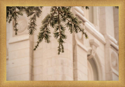 Salt Lake City Temple Even The Smallest Details