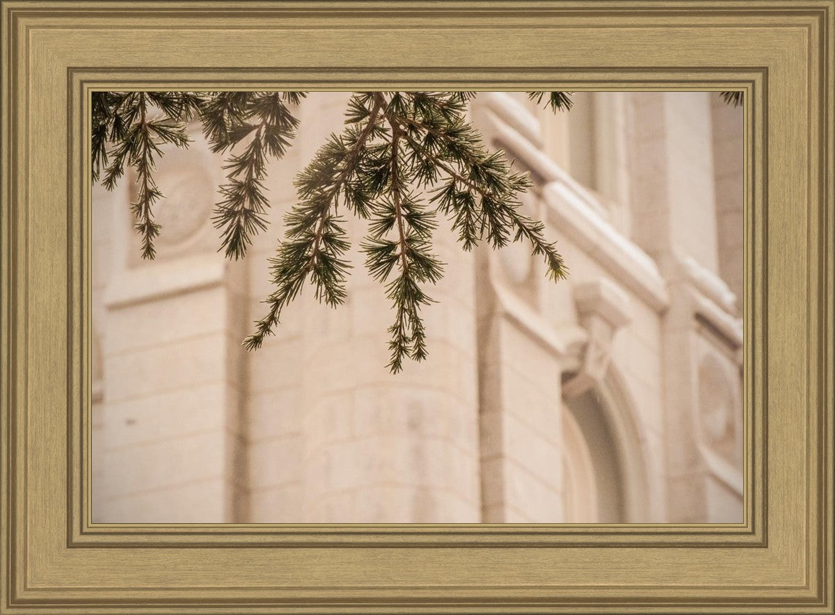 Salt Lake City Temple Even The Smallest Details