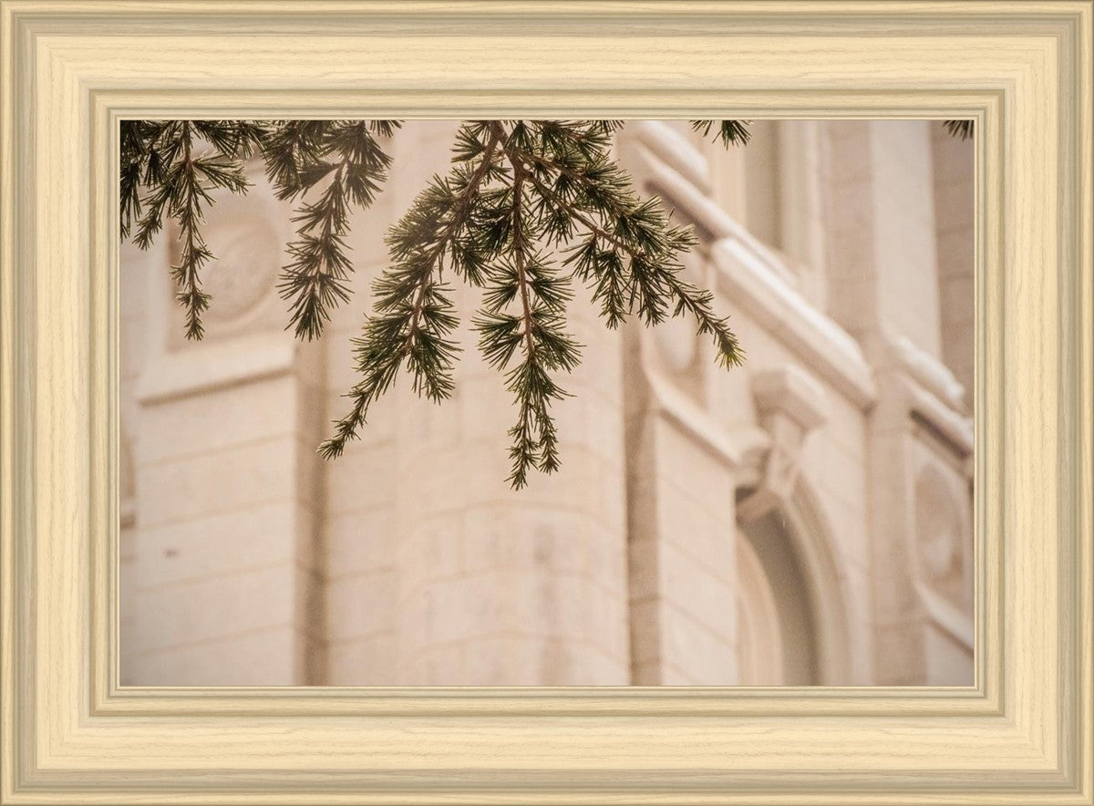 Salt Lake City Temple Even The Smallest Details