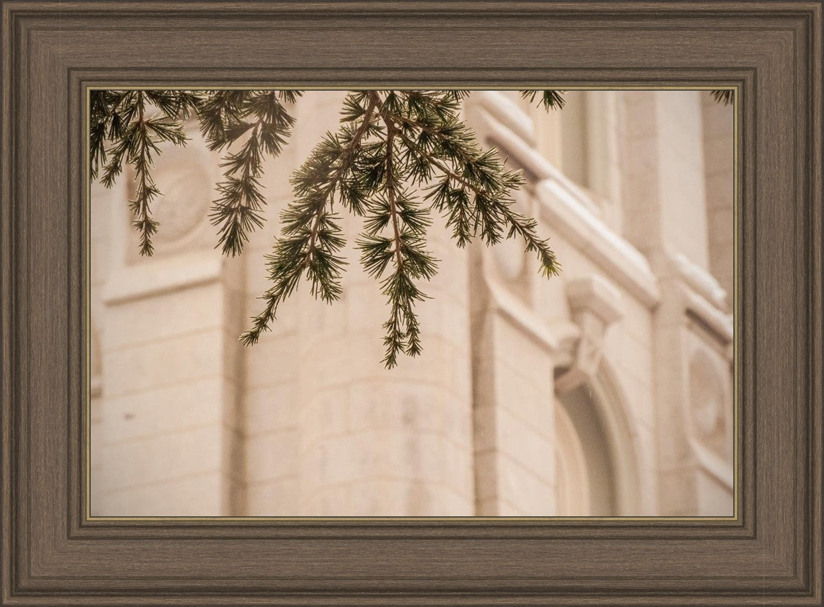 Salt Lake City Temple Even The Smallest Details