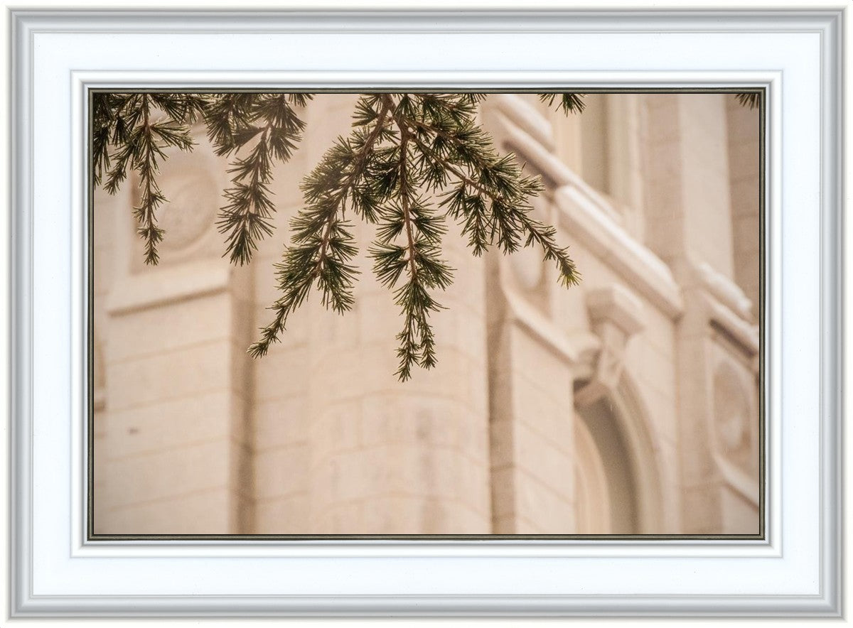 Salt Lake City Temple Even The Smallest Details