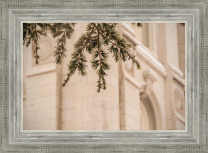 Salt Lake City Temple Even The Smallest Details