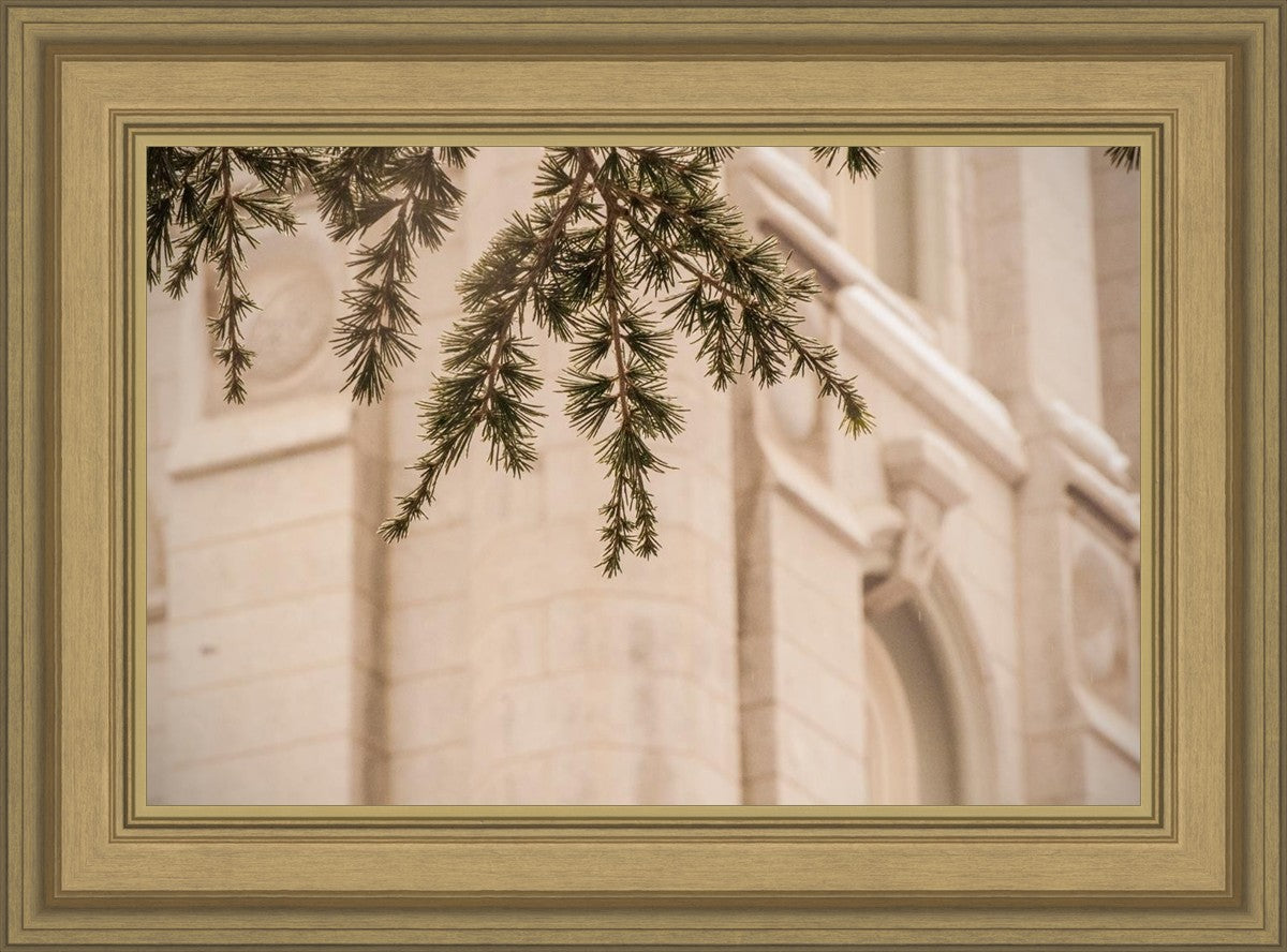 Salt Lake City Temple Even The Smallest Details