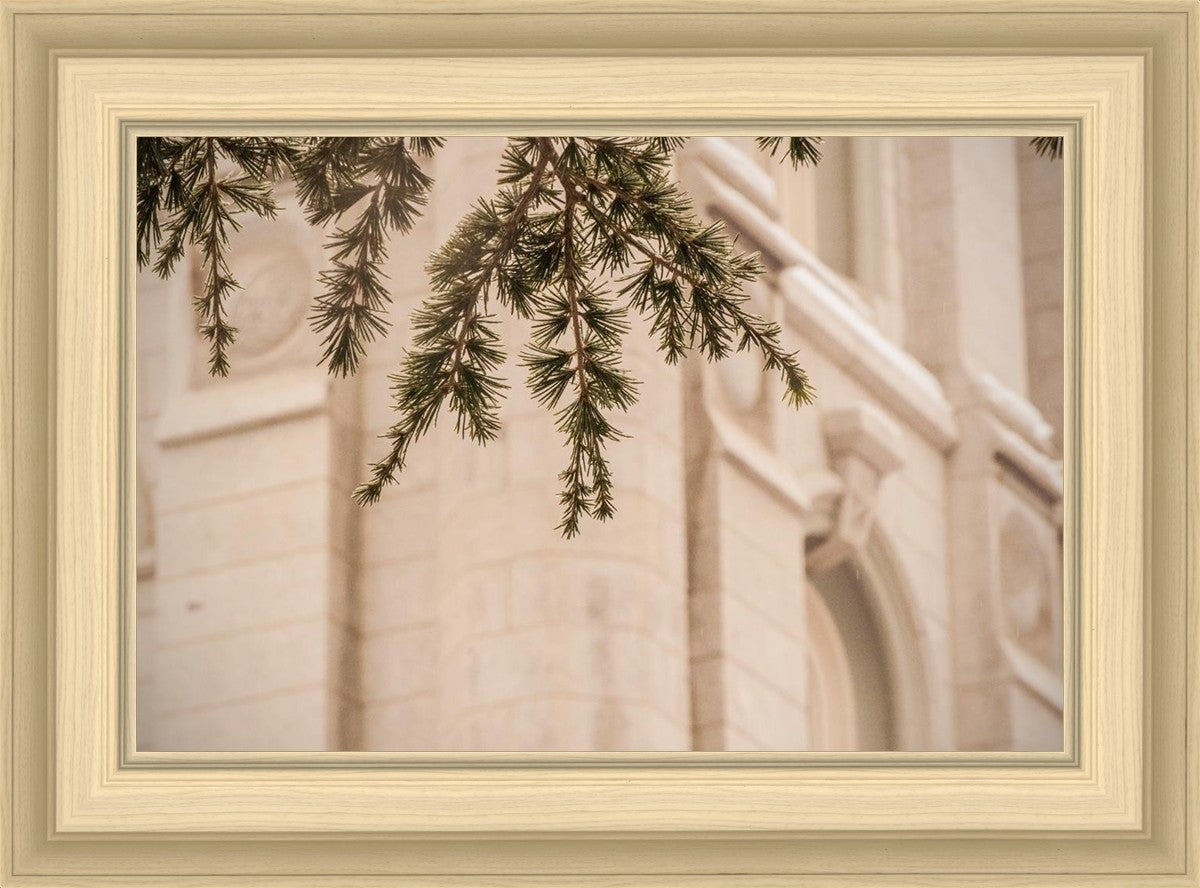 Salt Lake City Temple Even The Smallest Details