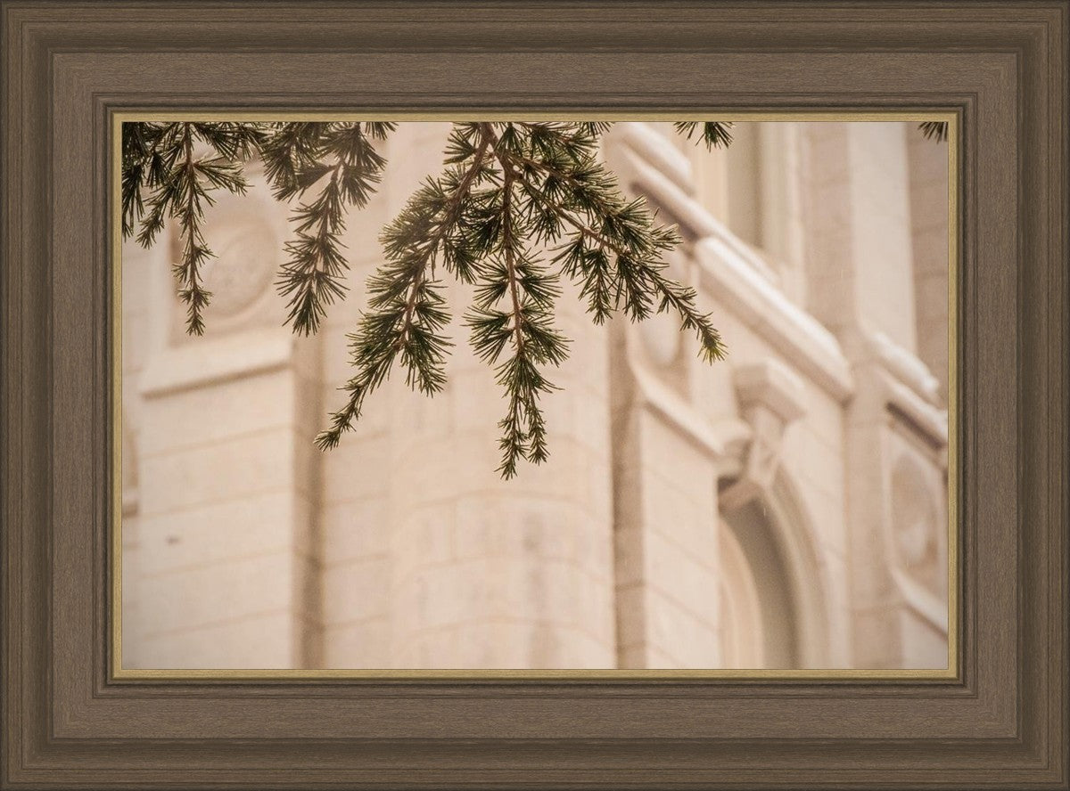 Salt Lake City Temple Even The Smallest Details