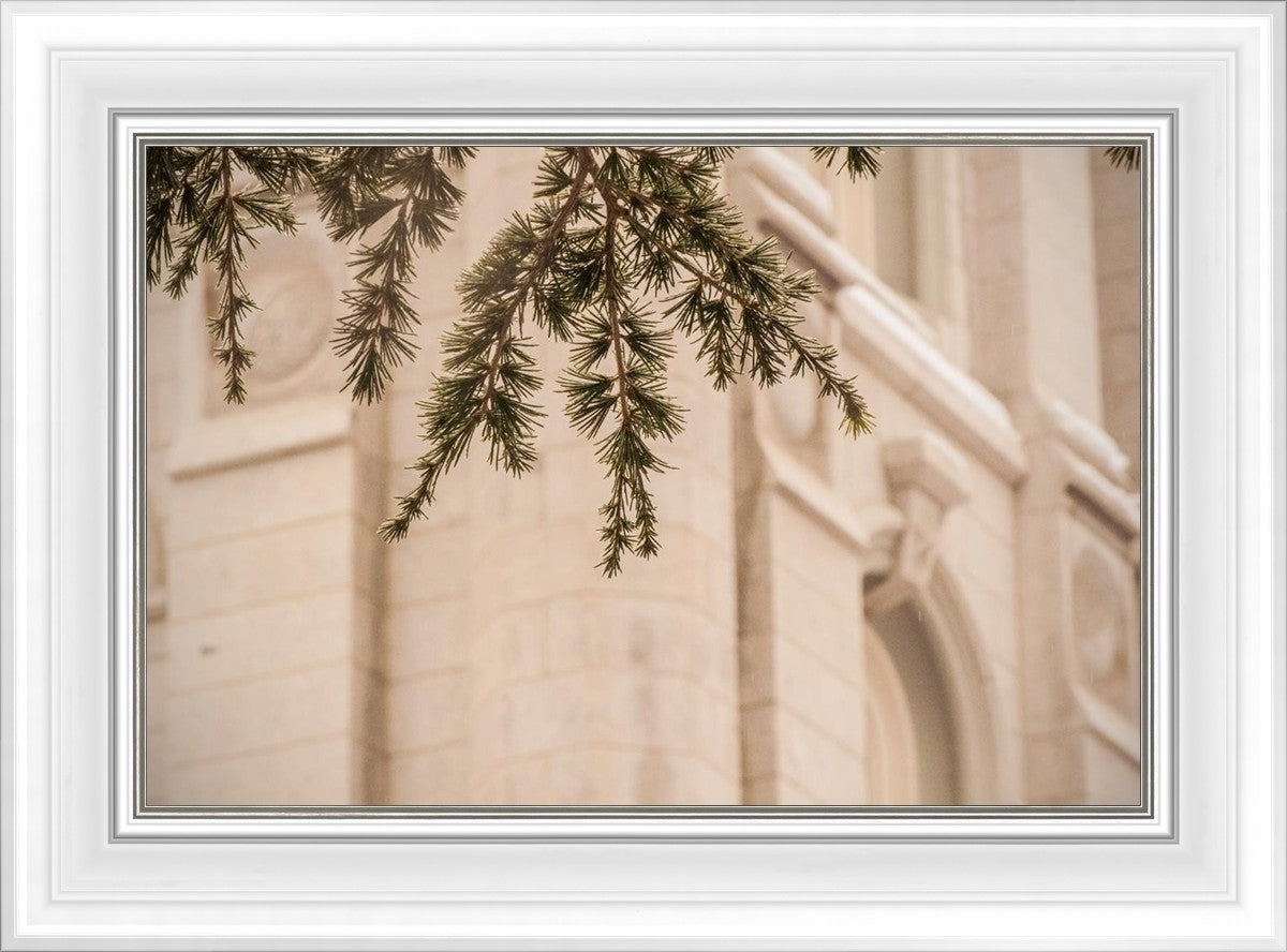 Salt Lake City Temple Even The Smallest Details