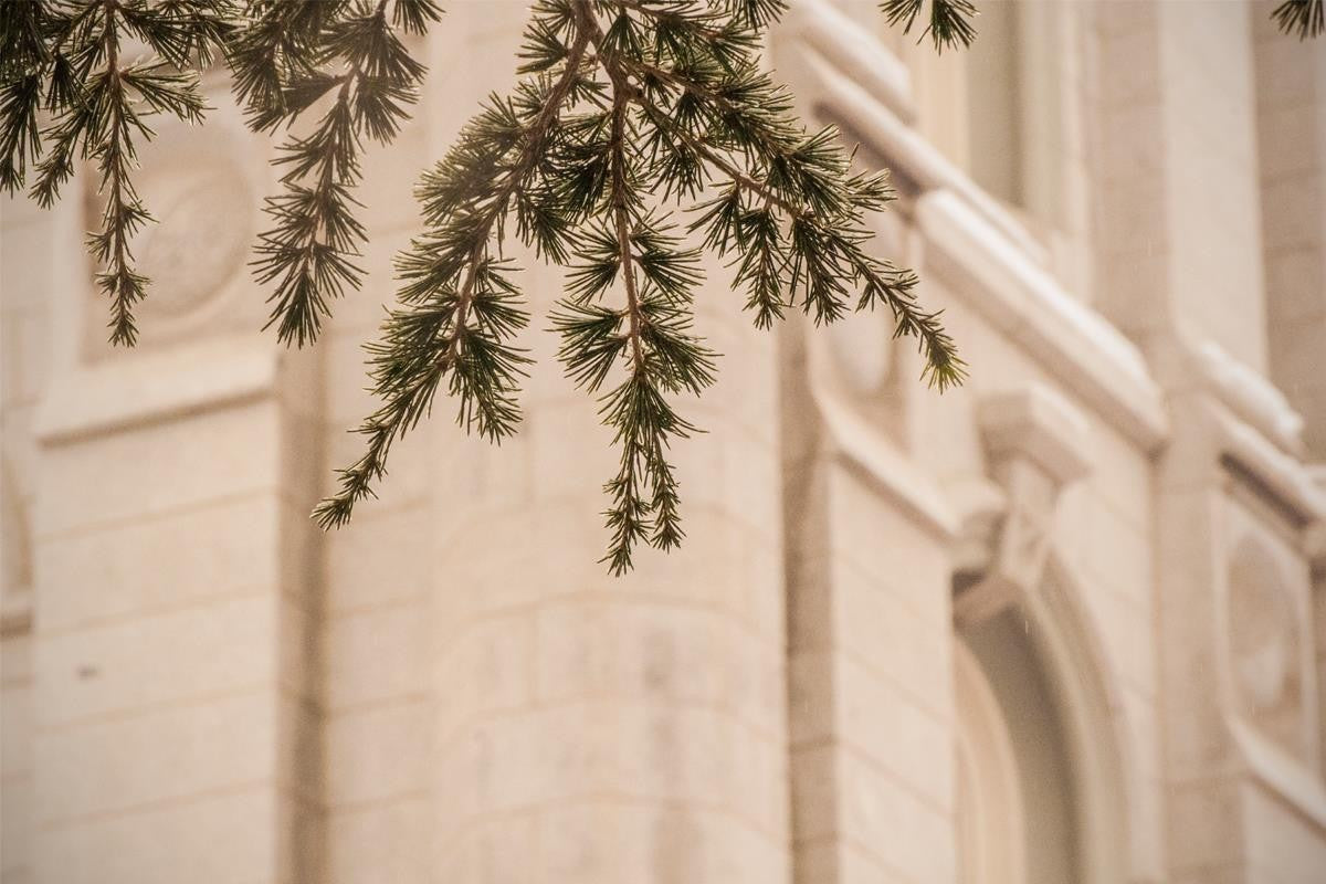 Salt Lake City Temple Even The Smallest Details Gallery Wrap
