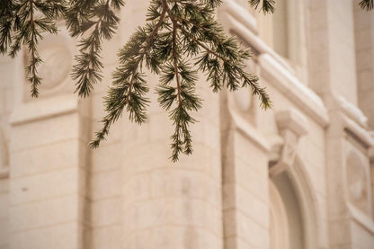 Salt Lake City Temple Even The Smallest Details Gallery Wrap