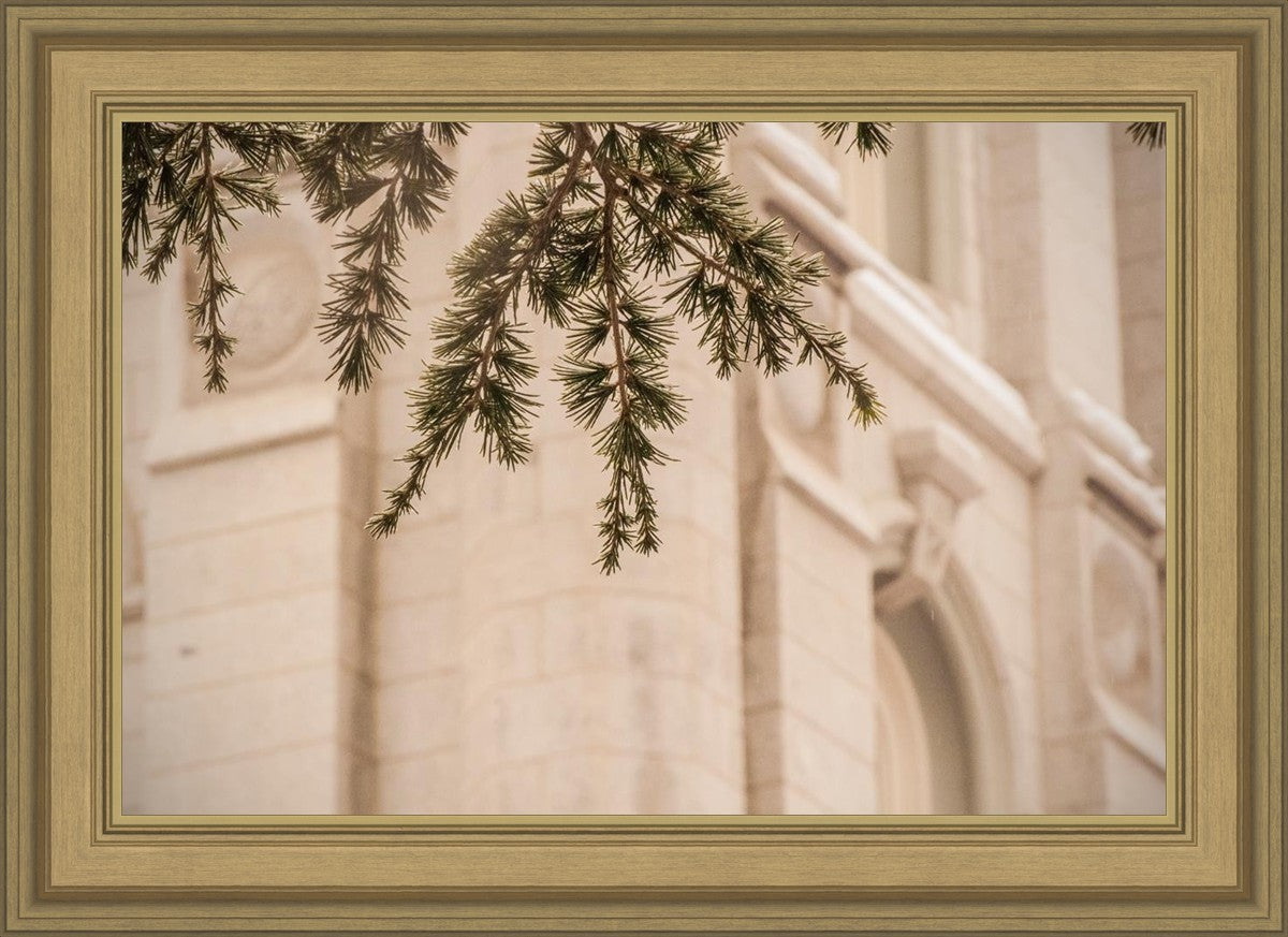 Salt Lake City Temple Even The Smallest Details