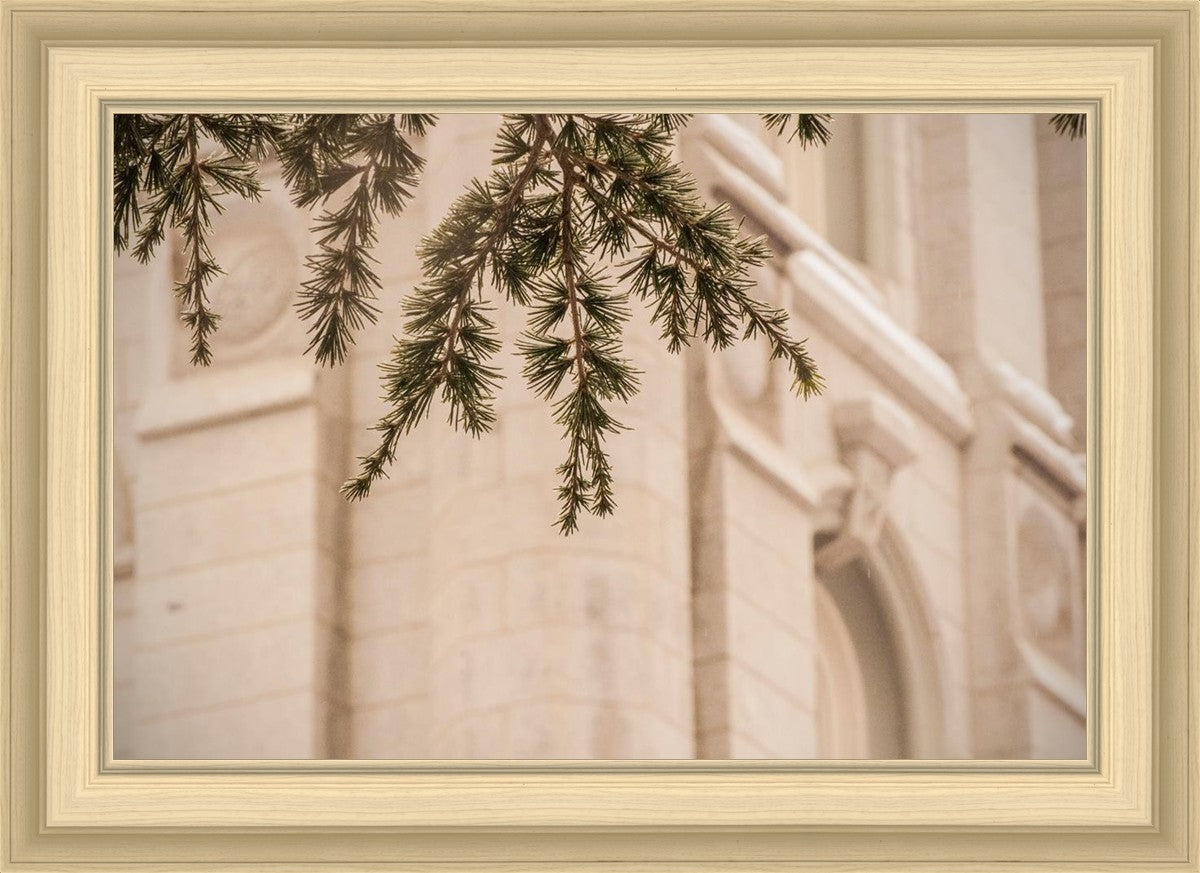 Salt Lake City Temple Even The Smallest Details