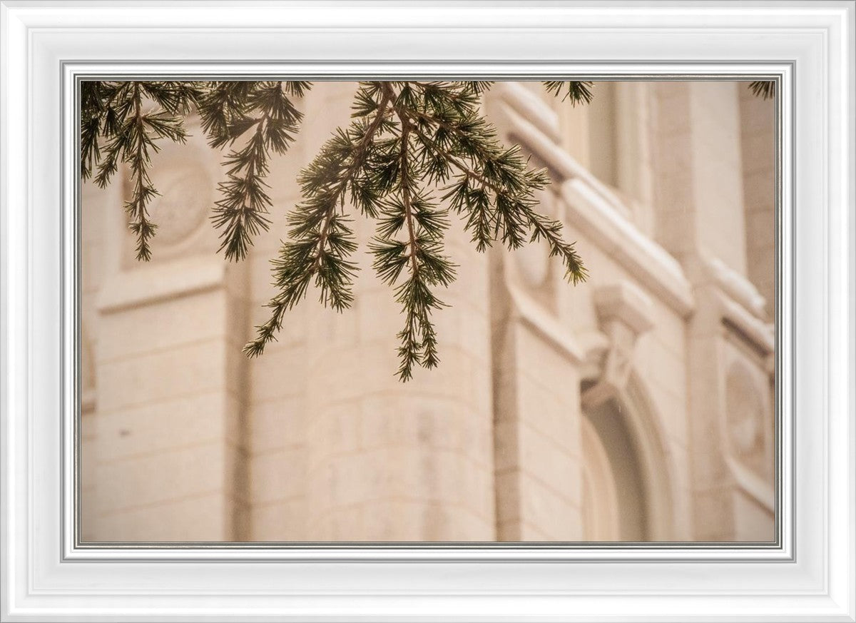 Salt Lake City Temple Even The Smallest Details
