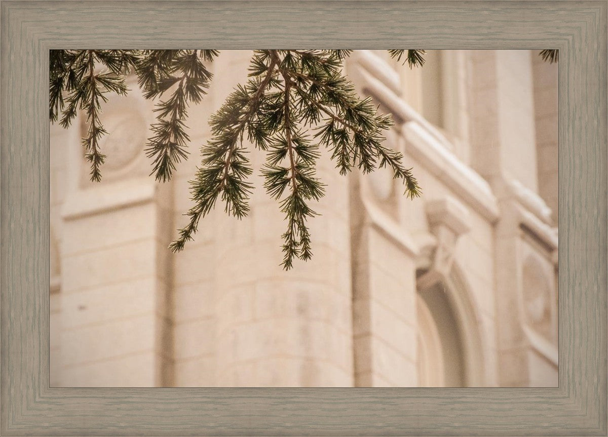 Salt Lake City Temple Even The Smallest Details