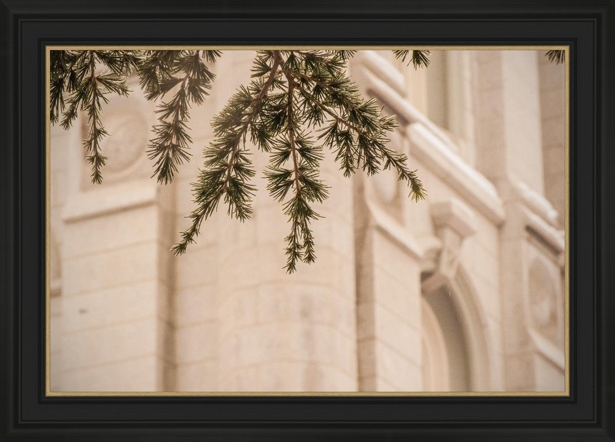 Salt Lake City Temple Even The Smallest Details