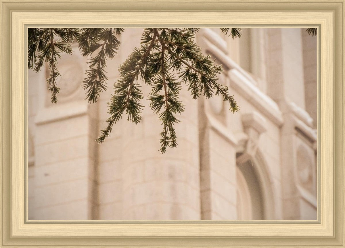 Salt Lake City Temple Even The Smallest Details