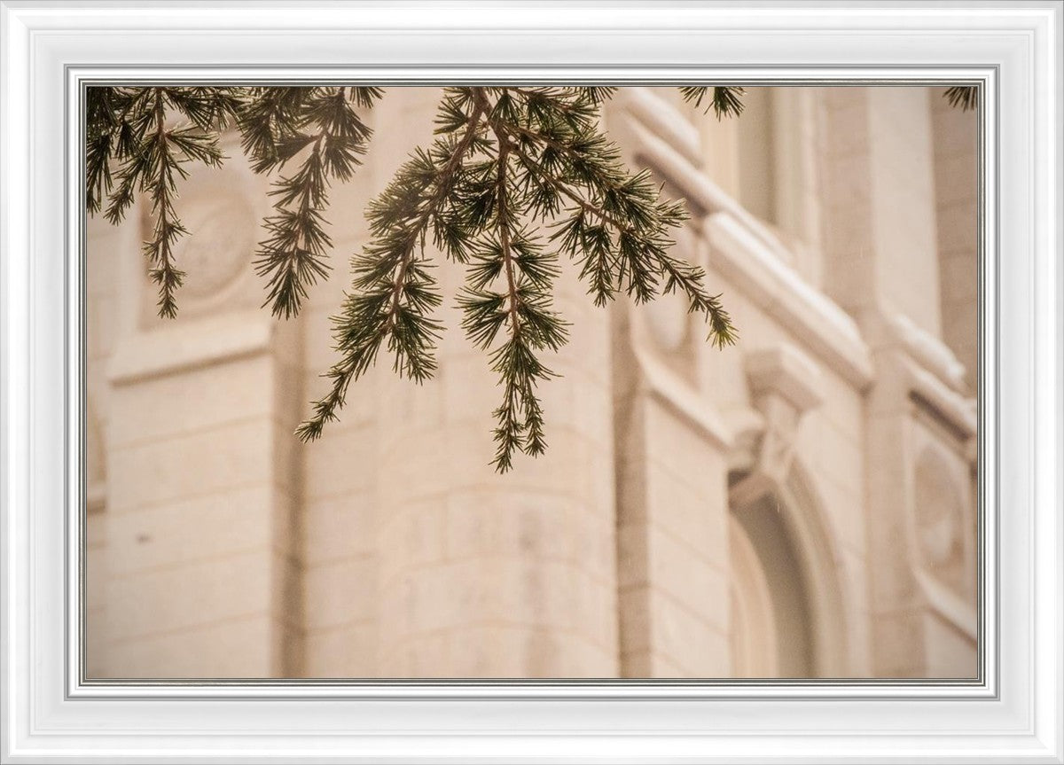 Salt Lake City Temple Even The Smallest Details
