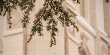 Salt Lake City Temple Even The Smallest Details Gallery Wrap