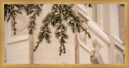 Salt Lake City Temple Even The Smallest Details