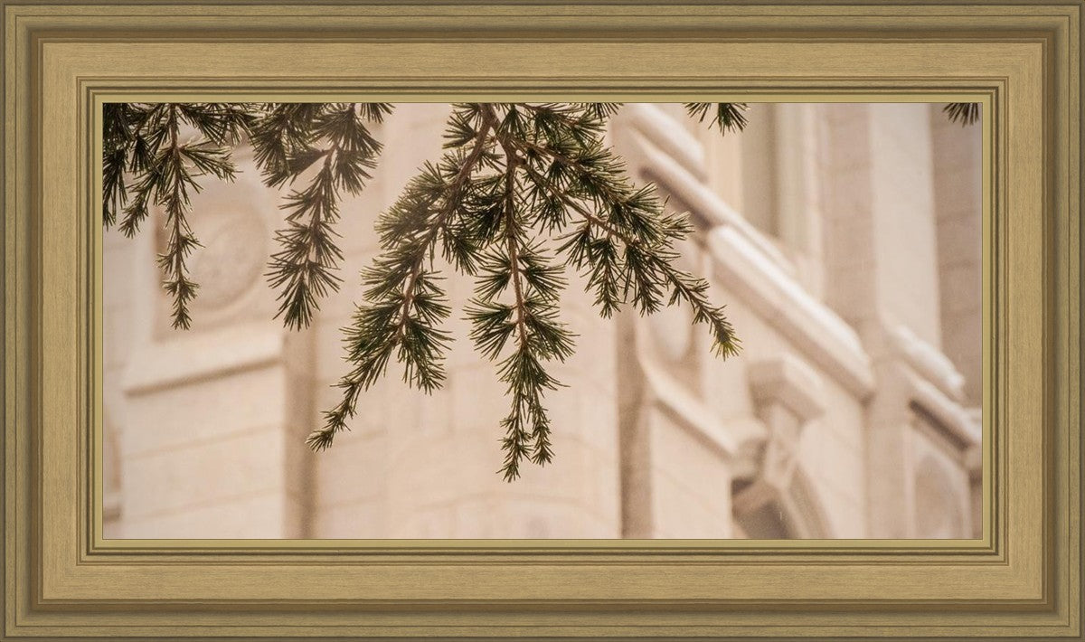 Salt Lake City Temple Even The Smallest Details
