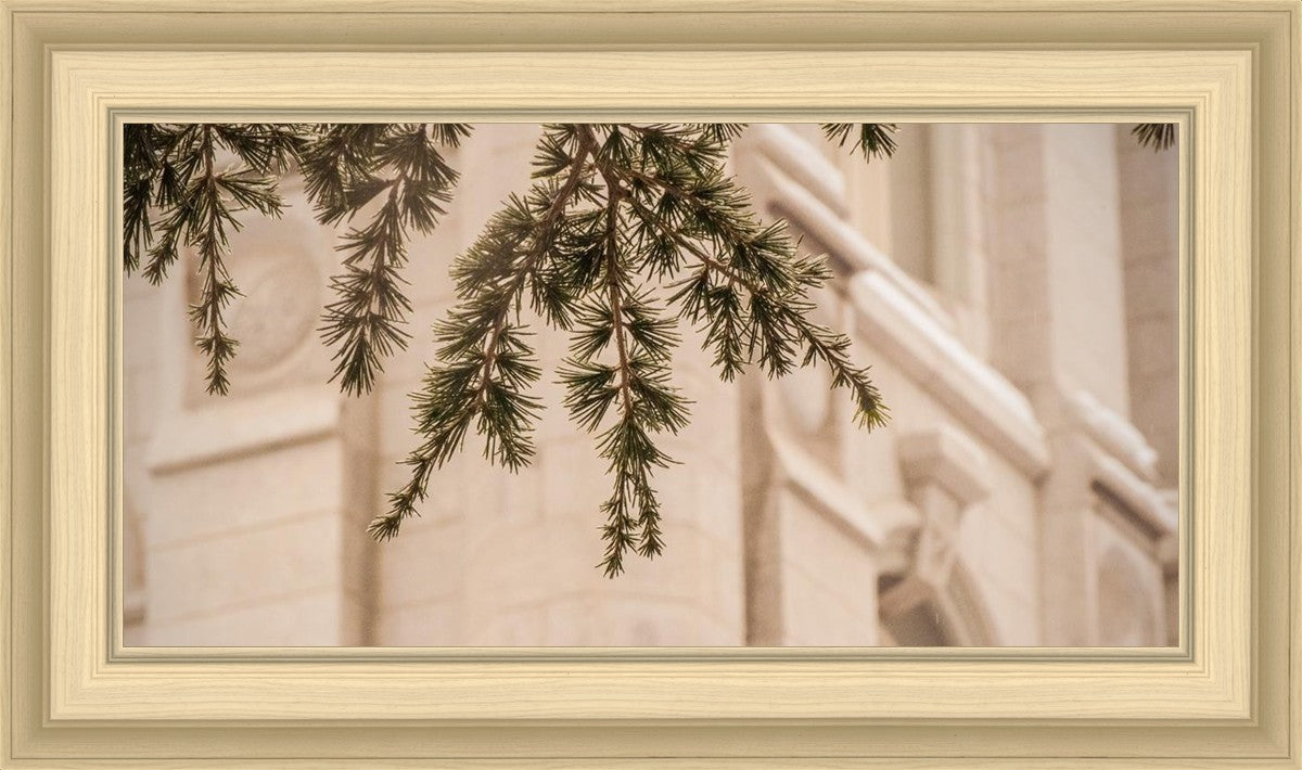 Salt Lake City Temple Even The Smallest Details