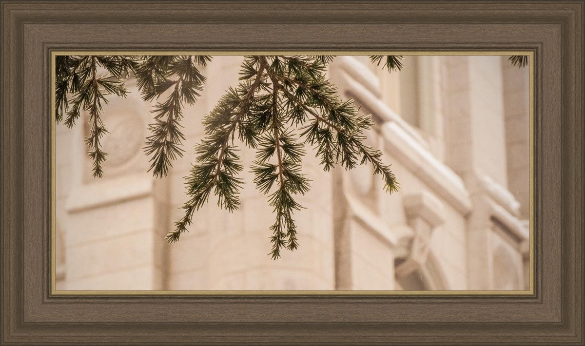 Salt Lake City Temple Even The Smallest Details