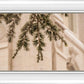 Salt Lake City Temple Even The Smallest Details