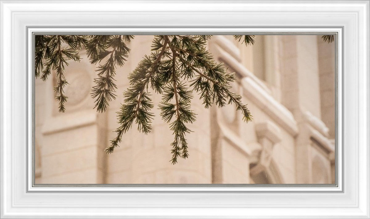 Salt Lake City Temple Even The Smallest Details