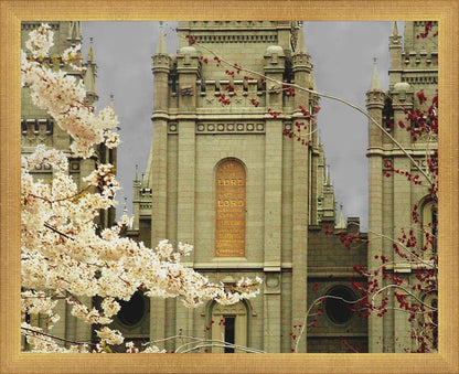 Salt Lake City Temple The Promise