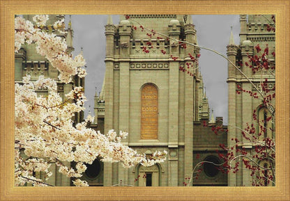 Salt Lake City Temple The Promise