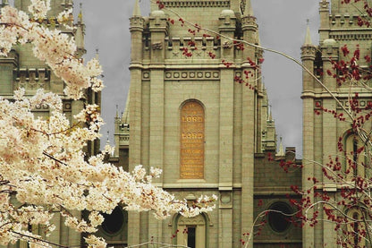 Salt Lake City Temple The Promise Gallery Wrap