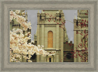 Salt Lake City Temple The Promise