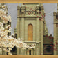 Salt Lake City Temple The Promise